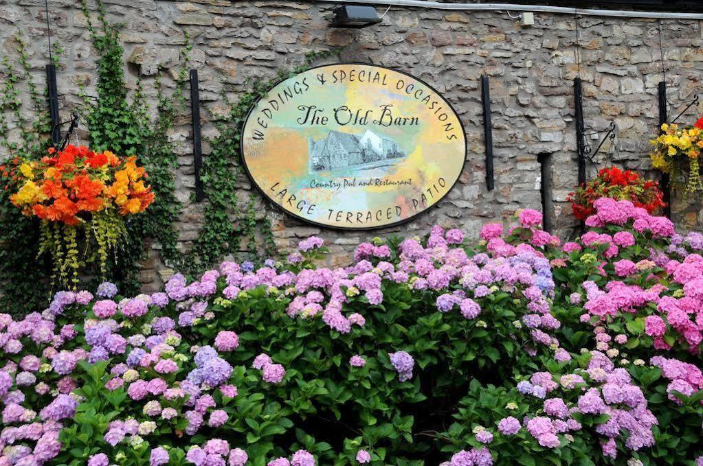 The Old Barn Inn Нюпорт Екстериор снимка